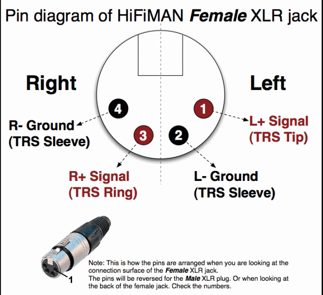 XLR 2/2