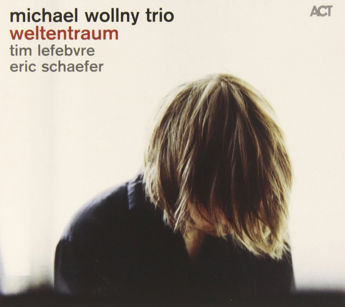 Michael Wollny trio