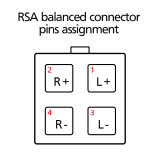 RSA PIN-info Kobiconn