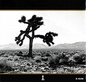 joshuatree