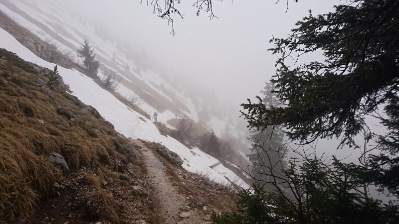 crolles1
