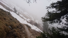 crolles1