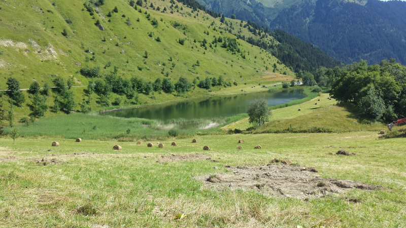 Lac du loup