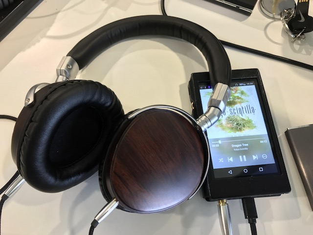 Fiio X5 III + BearBizz RG-EB660