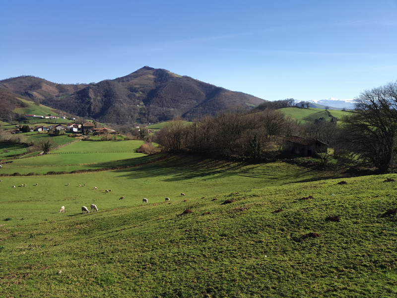 Pyrenees01